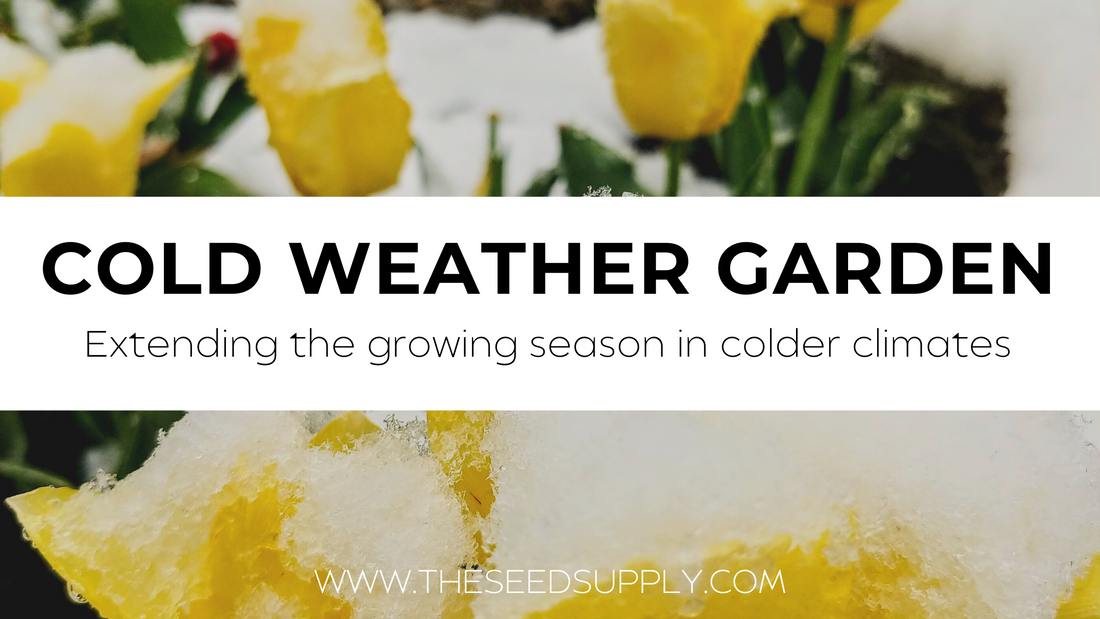 Extending Growing Seasons in Colder Climates