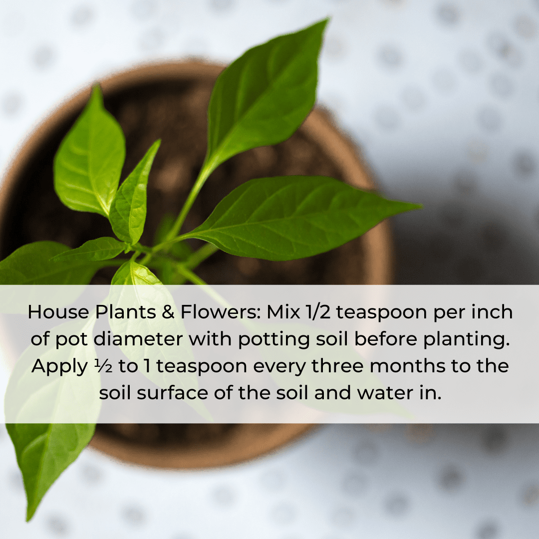 granular azomite application for container plants