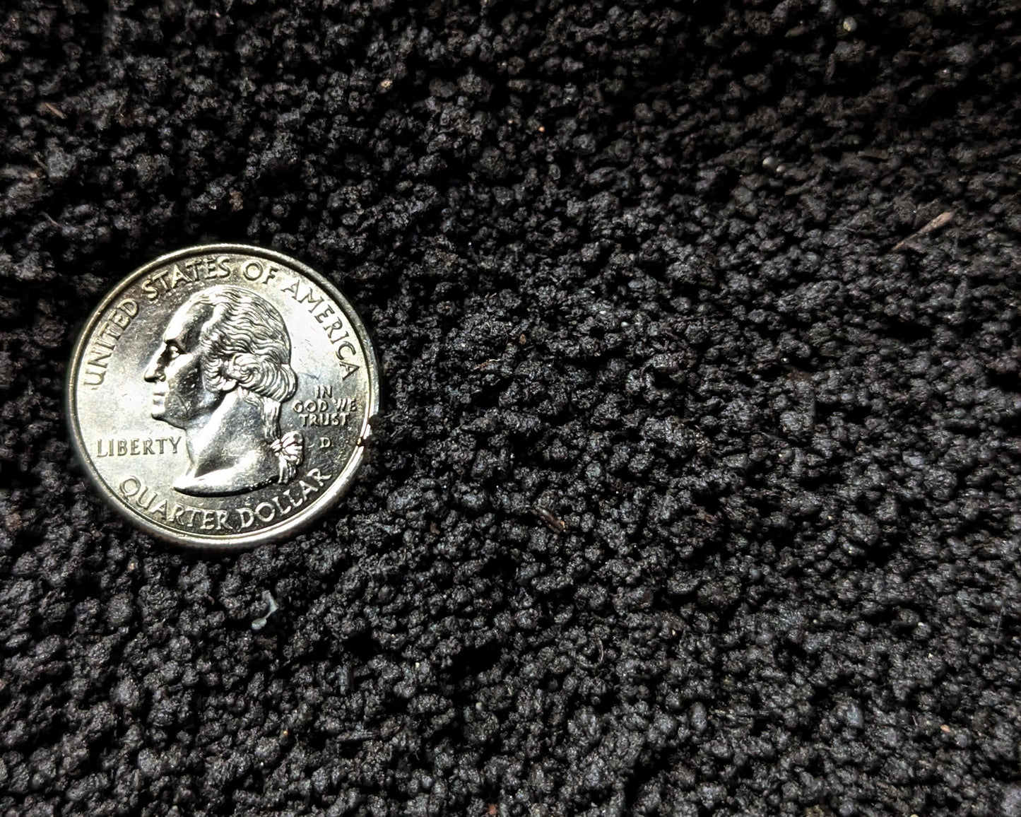 quarter in worm castings