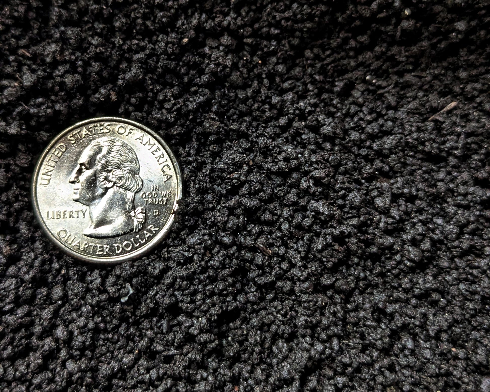 quarter in worm castings