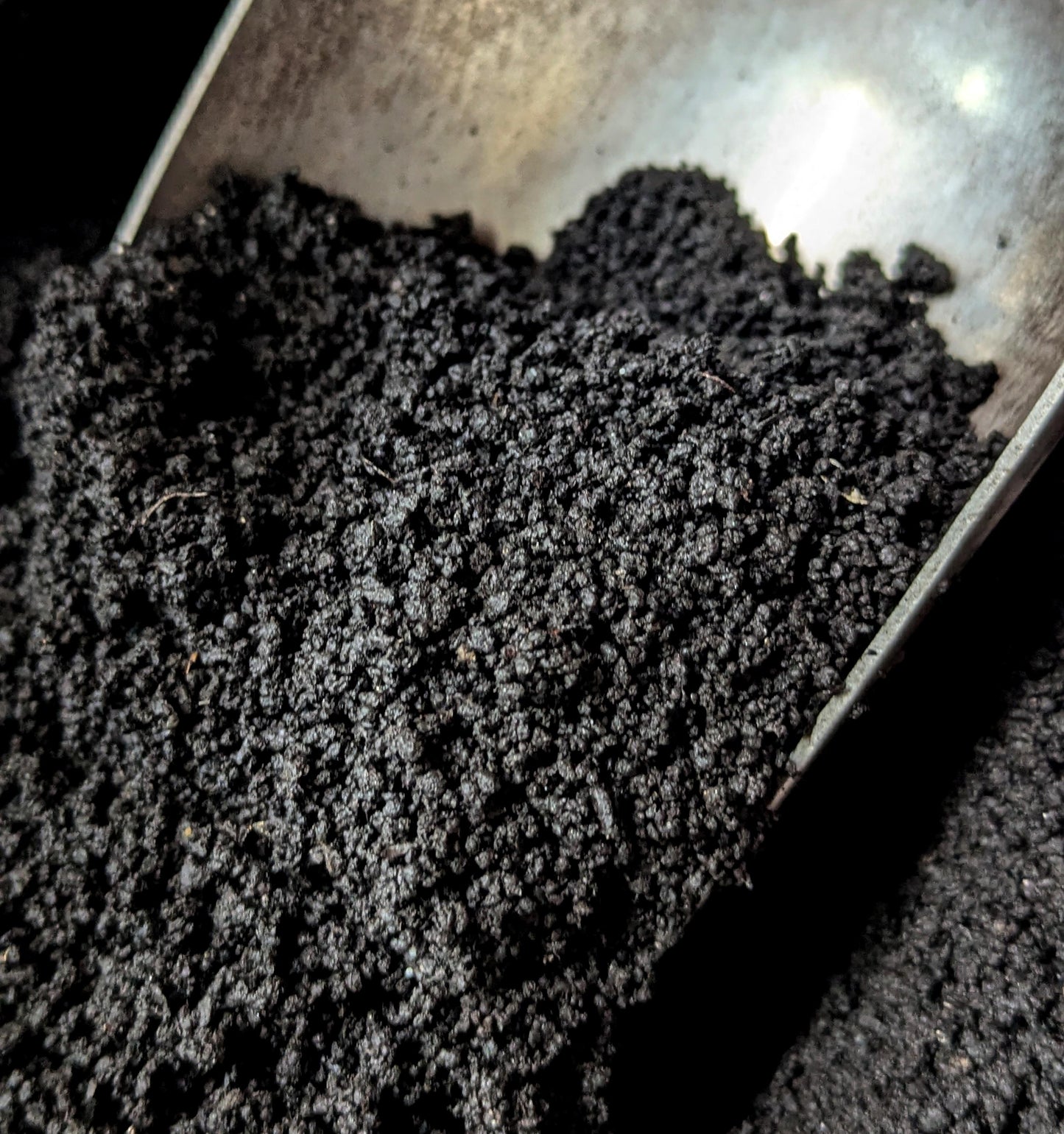 Close-up of worm castings in a metal scoop