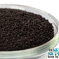Soluble Kelp Powder The Seed Supply