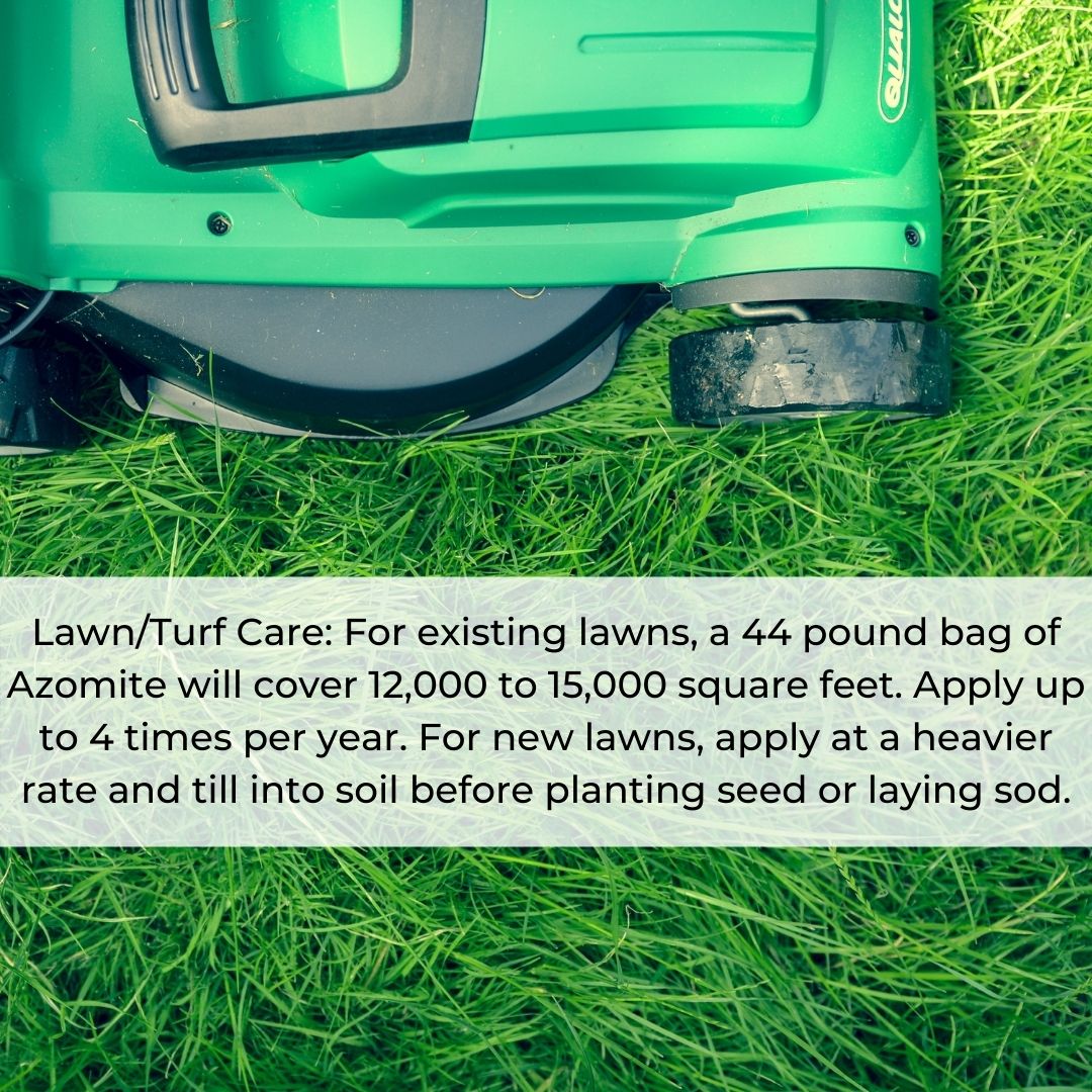 azomite application for lawns and grass