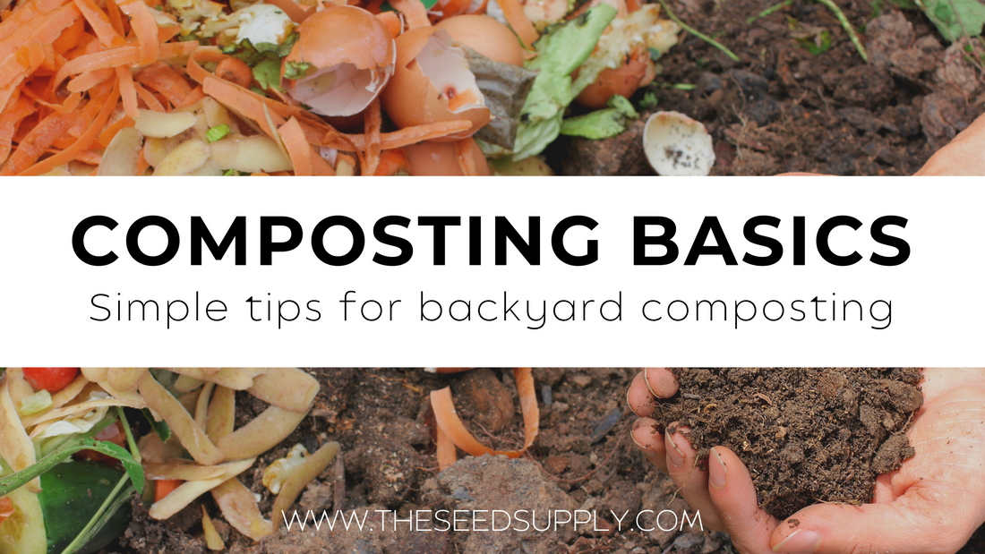 Composting Basics: Simple tips and recommendations for backyard composting
