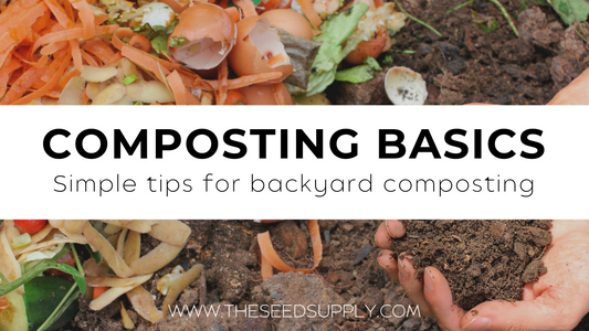 Composting Basics: Simple tips and recommendations for backyard composting