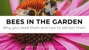 Bees in the Garden – how to attract bees to your home garden, and why you want to