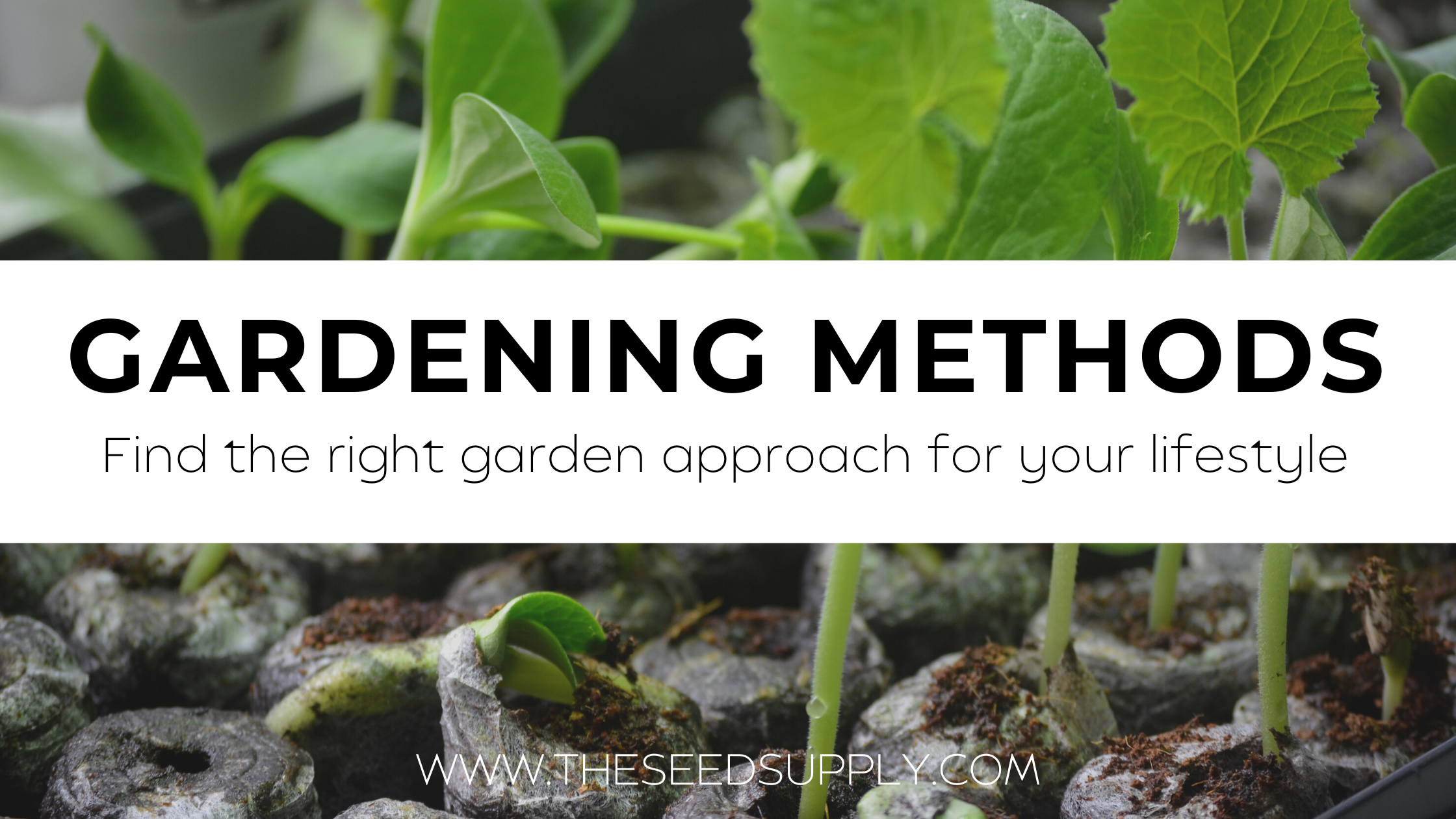 Growing Method Gardening Methods for Your Lifestyle – The Seed Supply