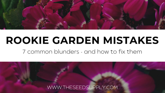 7 Rookie Gardening Mistakes (and How to Fix 'Em!)