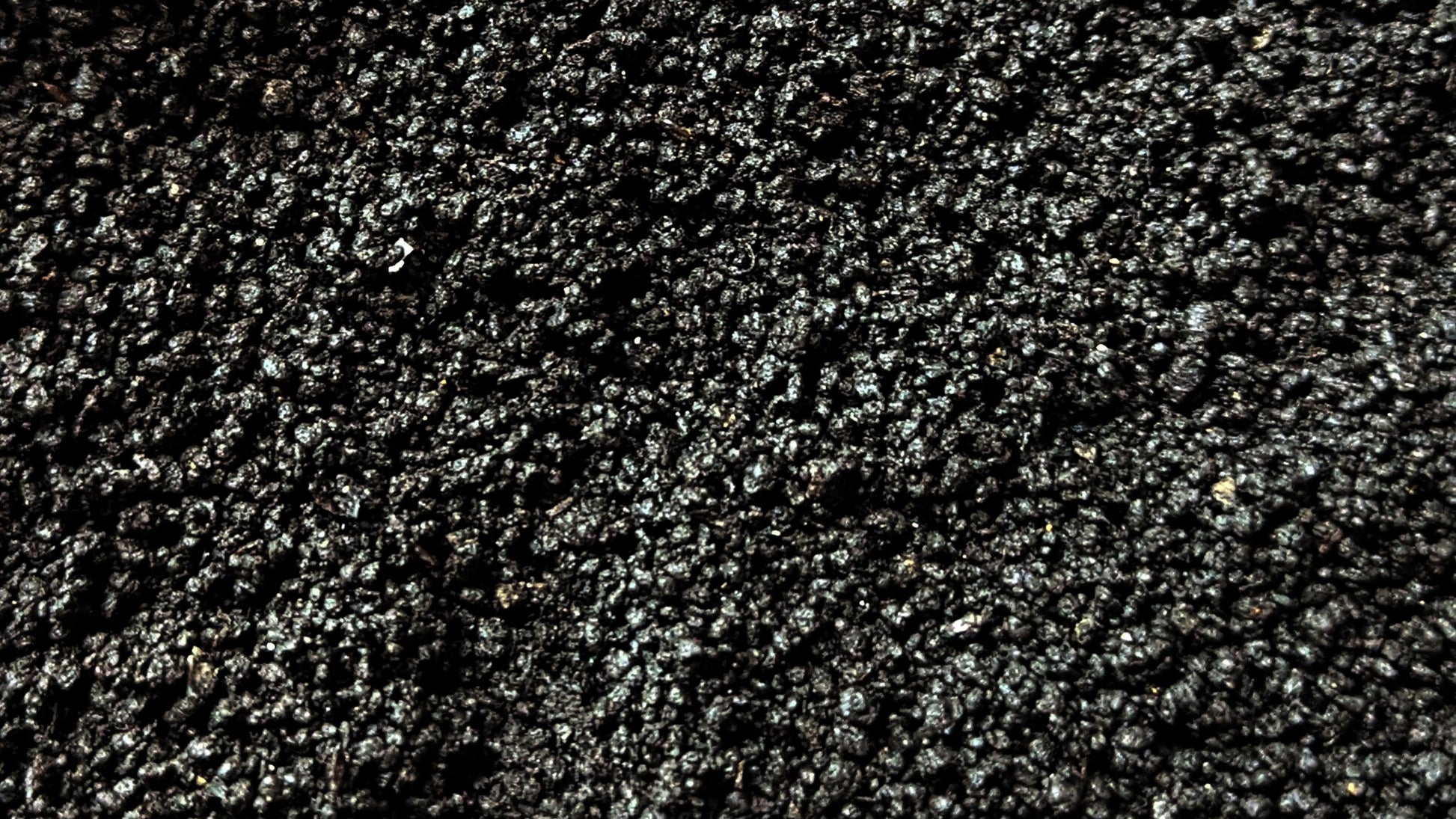 close up of worm castings