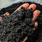 Hand holding a clump of worm castings