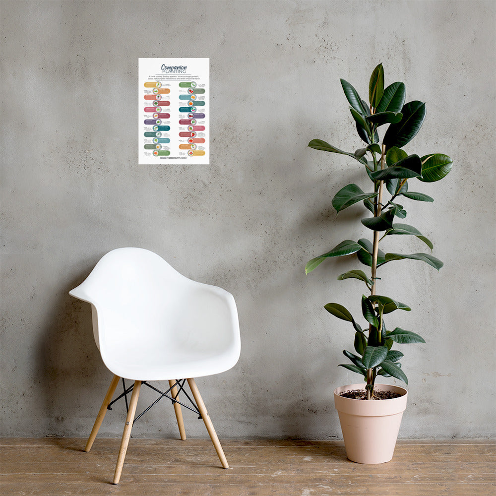 companion planting seeds Companion Planting Poster